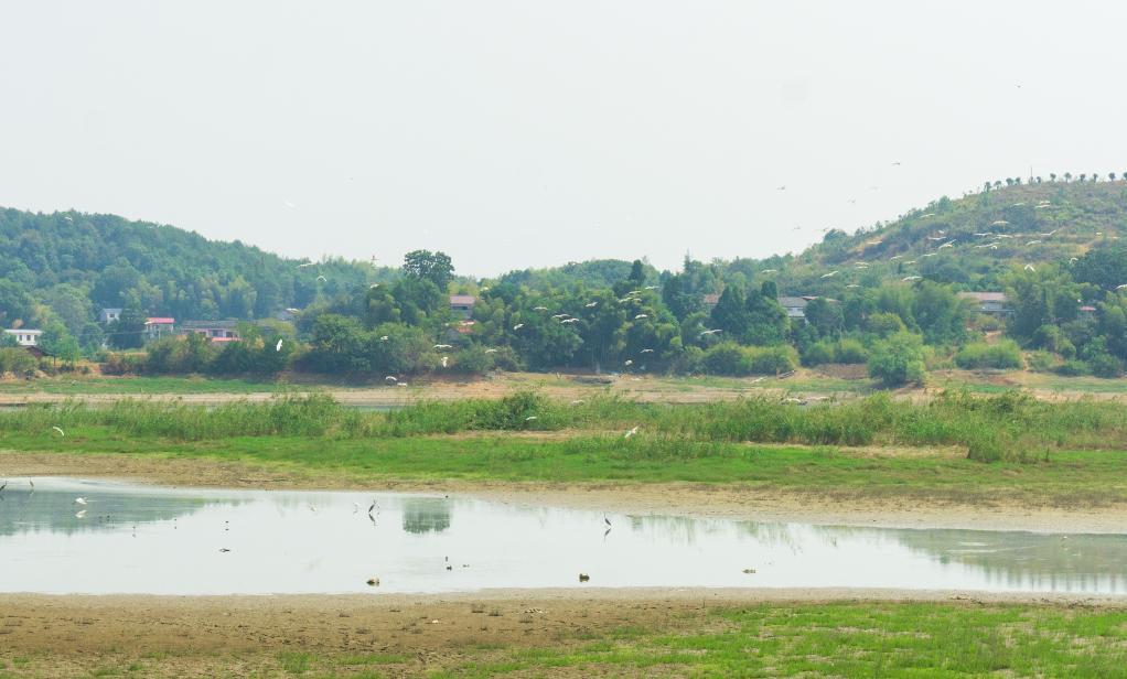 新華全媒+｜湖南湘潭：221名民間林長(cháng)參與守護綠色大地