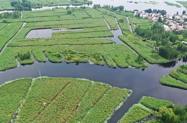 鏡頭里的十年·奔向美好丨雄安，“未來(lái)之城”拔節生長(cháng)