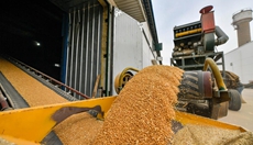 新華全媒+丨大數據監控 內環(huán)流控溫——科學(xué)儲糧守好“大國糧倉”