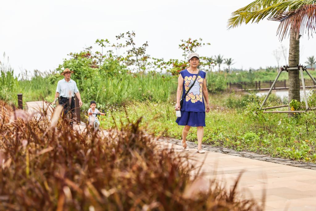 ?？冢汉忧灏毒G的邁雅河濕地公園