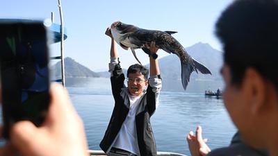 浙江:千島湖巨網(wǎng)捕魚(yú)迎豐收