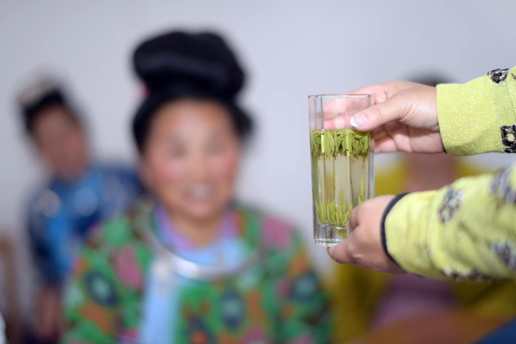 貴州丹寨:茶技培訓正當時(shí)