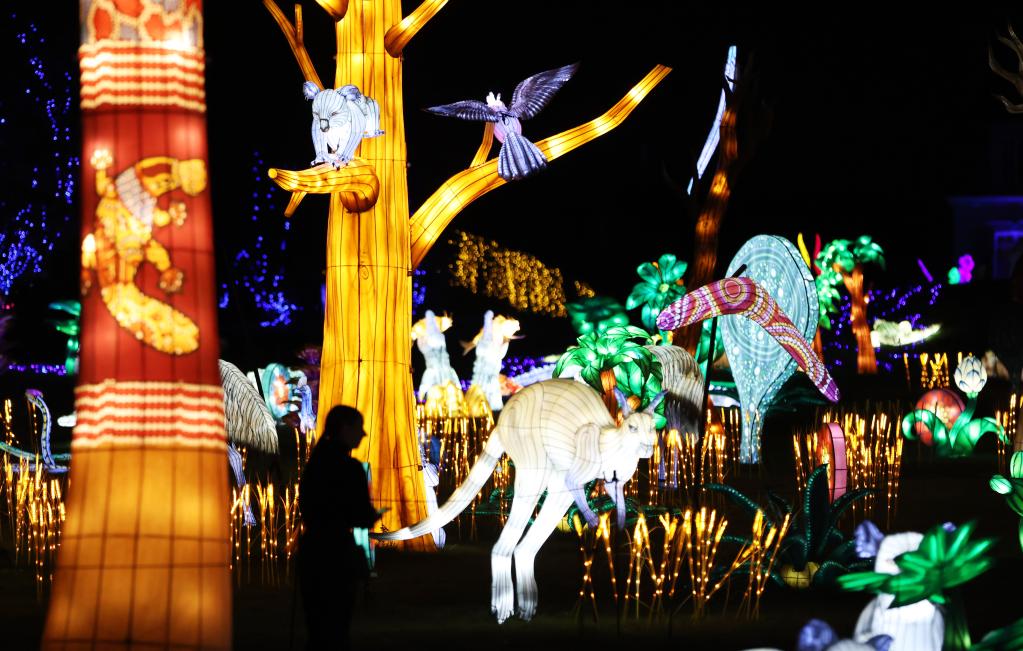 法國:彩燈點(diǎn)亮動(dòng)物園