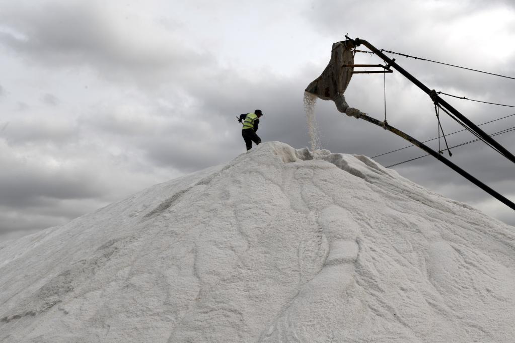 濱州沾化:40萬(wàn)畝秋鹽收獲