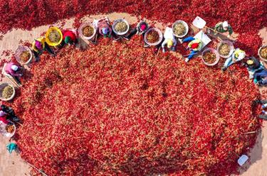 鏡觀(guān)中國·新華社國內新聞?wù)掌恢芫x