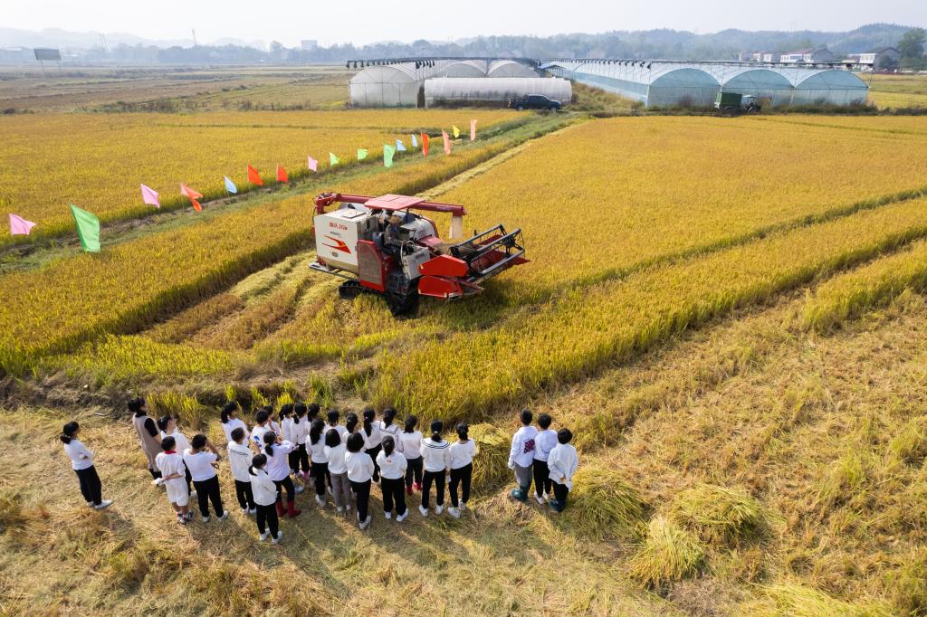 新華全媒+丨“田間課堂”學(xué)農事