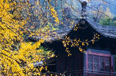 長(cháng)安秋韻