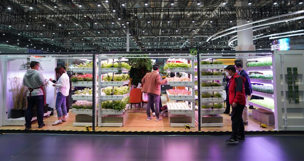 進(jìn)博會(huì )上看“集裝箱里種菜”