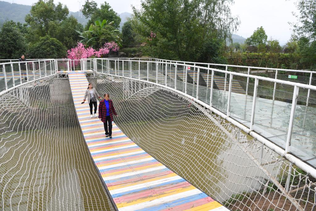 新華全媒+丨重慶:人才下鄉激活產(chǎn)業(yè)振興“一池春水”