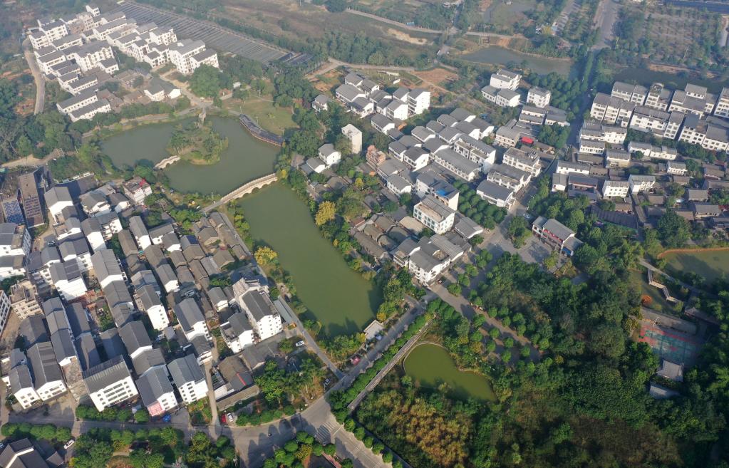 廣西南寧:振興鄉村生態(tài)美