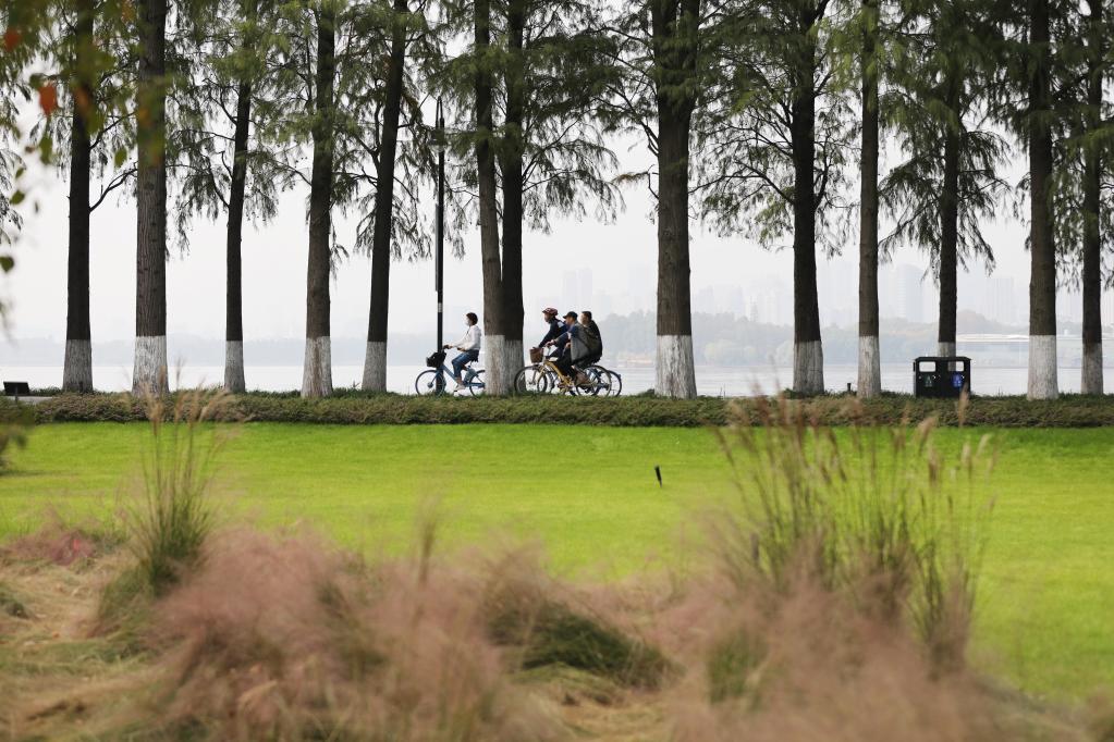 特稿：從濕地之美見(jiàn)證中國生態(tài)“密碼”啟迪世界