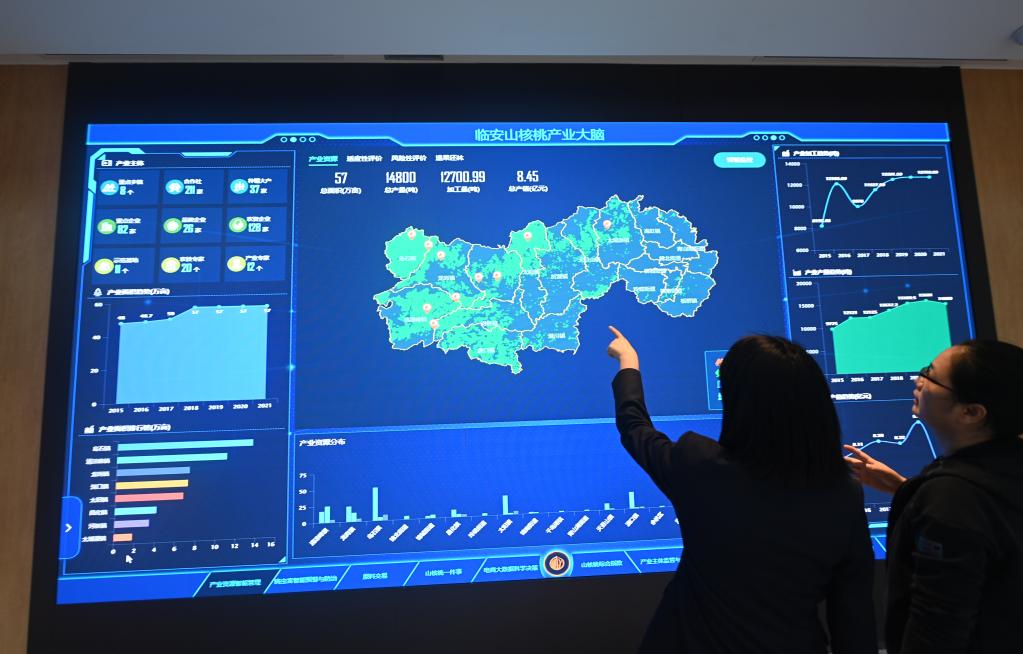 杭州臨安:堅果炒貨產(chǎn)業(yè)提檔升級助推經(jīng)濟高質(zhì)量發(fā)展