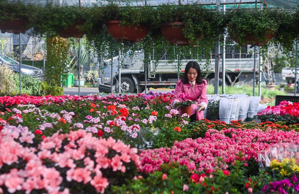 浙江金華:花卉苗木產(chǎn)業(yè)助推富民路