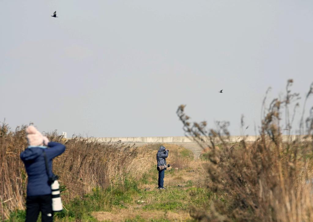 “觀(guān)鳥(niǎo)達人”匯聚東灘 首屆濱海社區觀(guān)鳥(niǎo)生活節在滬舉行