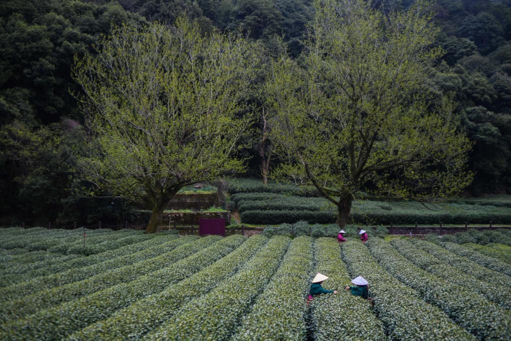 年終報道·2022奔向美好|經(jīng)濟發(fā)展破浪向前