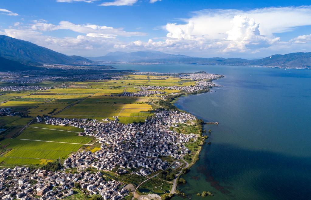 年終報道·2022奔向美好|鄉村振興新圖景