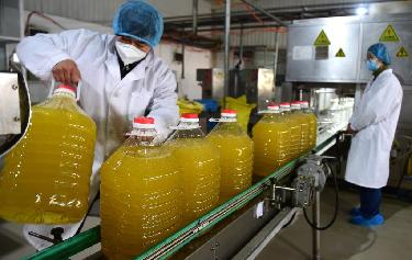 加緊生產(chǎn)供應節日市場(chǎng)