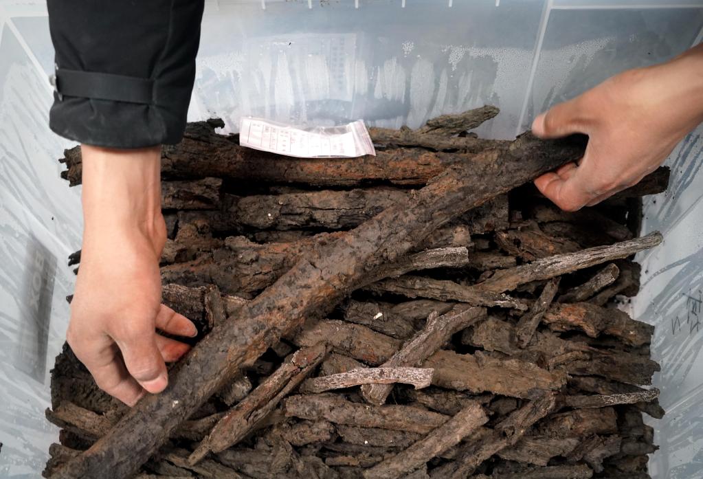 新華全媒+｜河南商丘宋國故城遺址發(fā)現大面積千年桑樹(shù)和柏樹(shù)枝