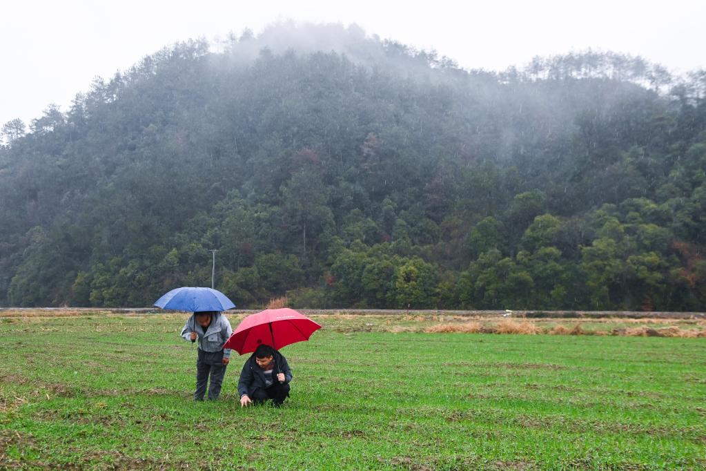 浙江臨安:培育青創(chuàng )人才 助力鄉村振興