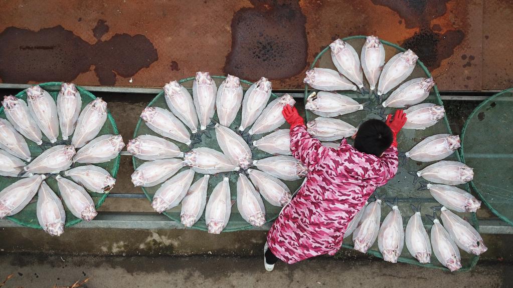 湖南岳陽(yáng):特色風(fēng)干魚(yú)供應市場(chǎng)