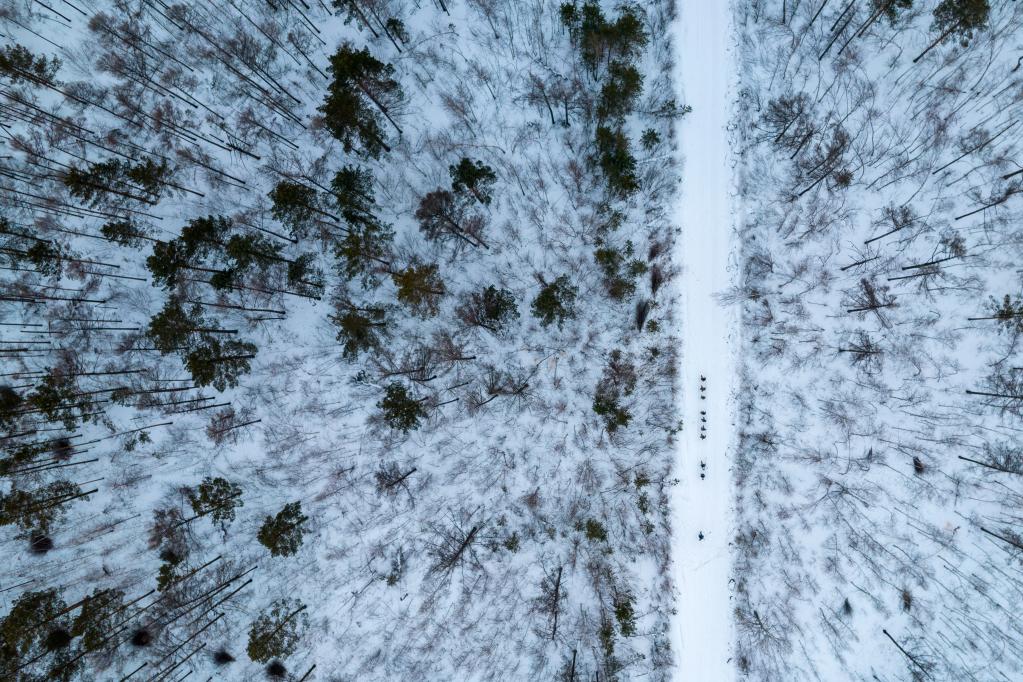 新華全媒+丨“失聯(lián)”一個(gè)多月，他們在林海守護生態(tài)屏障