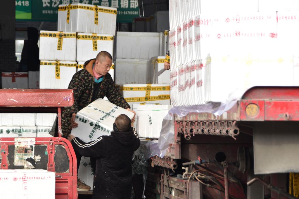 千里調蔬菜 全力保供應——湖南最大“菜籃子”一線(xiàn)見(jiàn)聞