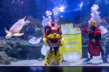 馬來(lái)西亞點(diǎn)亮中國紅