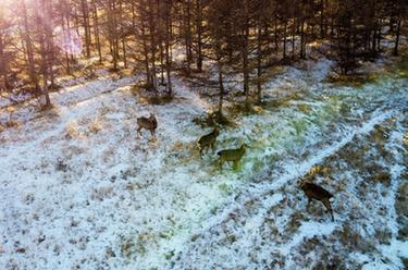 內蒙古:多彩灤河源