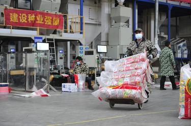 江西南昌:備種備耕忙