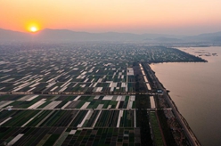 云南通海:早春田園風(fēng)光美