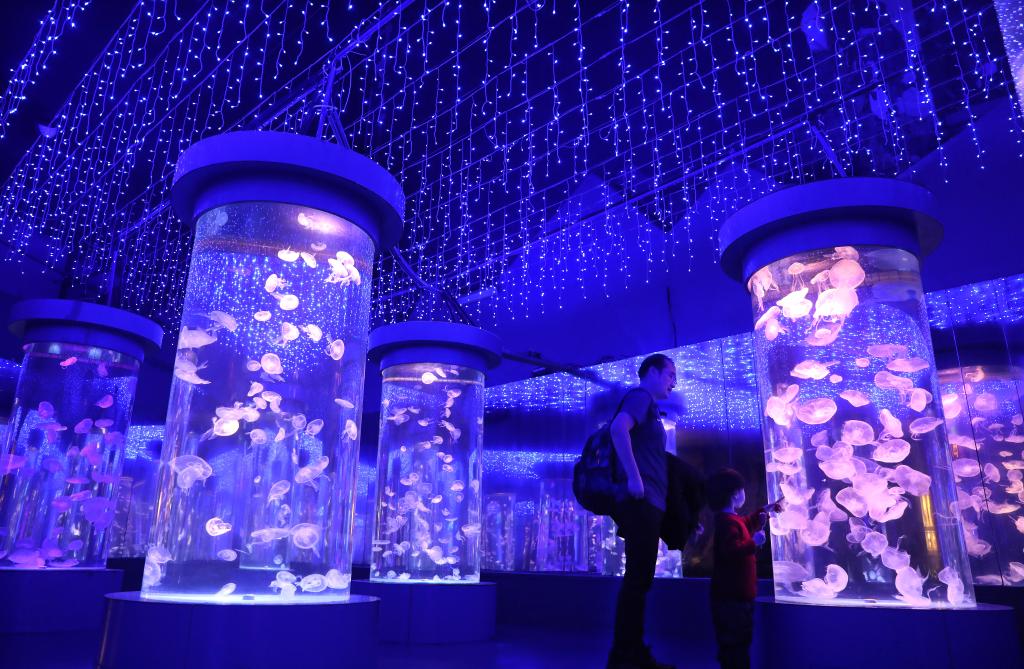 周末樂(lè )享海洋世界