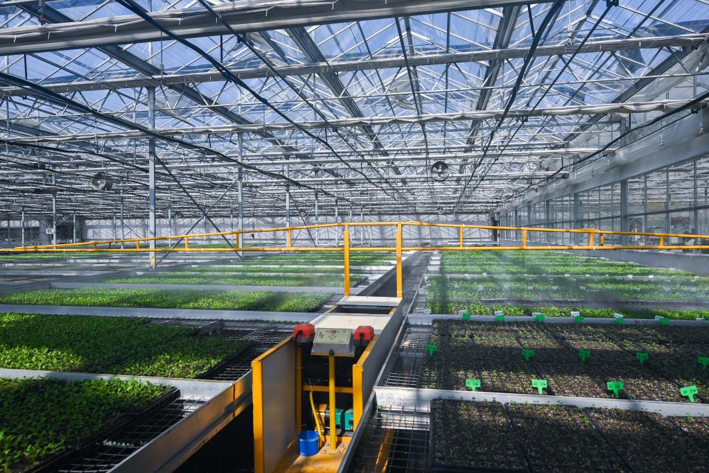 浙江嘉興:數字化新農具耕出“智慧田”