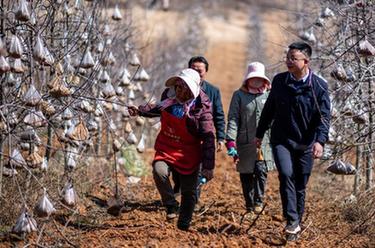 代表委員履職故事｜全國人大代表袁海波：“我是農民工，更懂農民工”