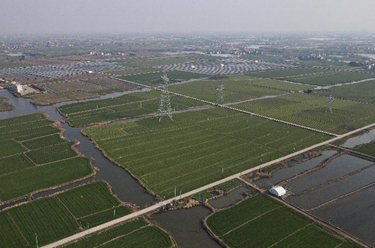 安徽蕪湖:“小田變大田”為鄉村振興注入新動(dòng)能