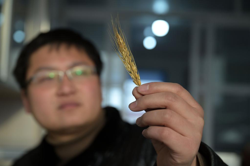 新華全媒+丨返鄉“新農人”的“興農夢(mèng)”