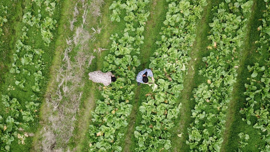 湖南瀏陽(yáng)：預制菜產(chǎn)業(yè)加速發(fā)展