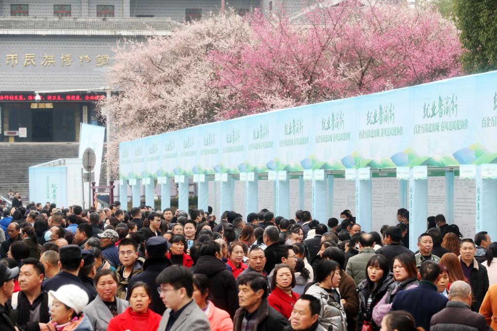 重慶黔江:春風(fēng)送暖促就業(yè)