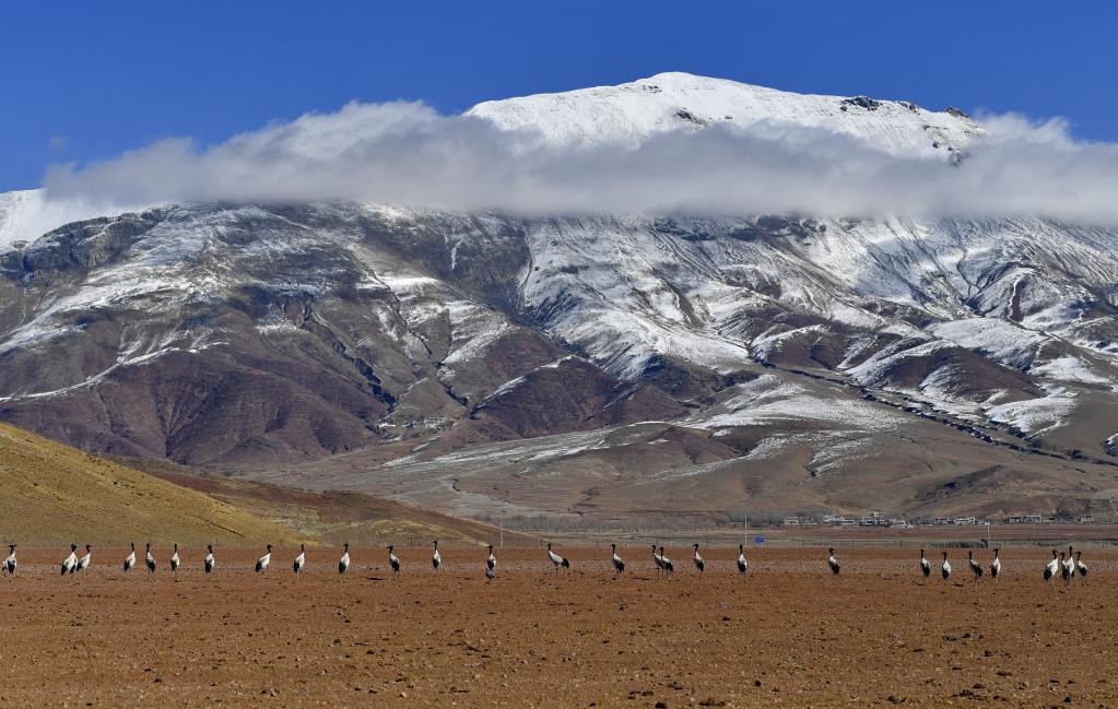 鏡觀(guān)中國·新華社國內新聞?wù)掌恢芫x