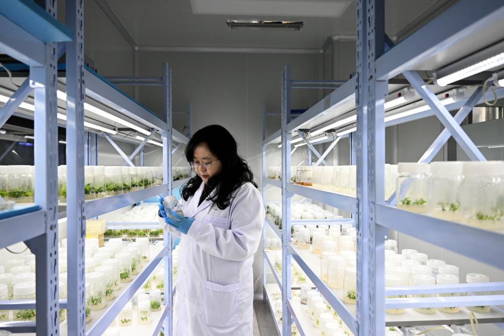 新華全媒+丨科學(xué)島上的創(chuàng  )新“她力量”