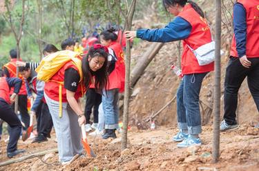 重慶:滅火志愿者為縉云山“添綠”