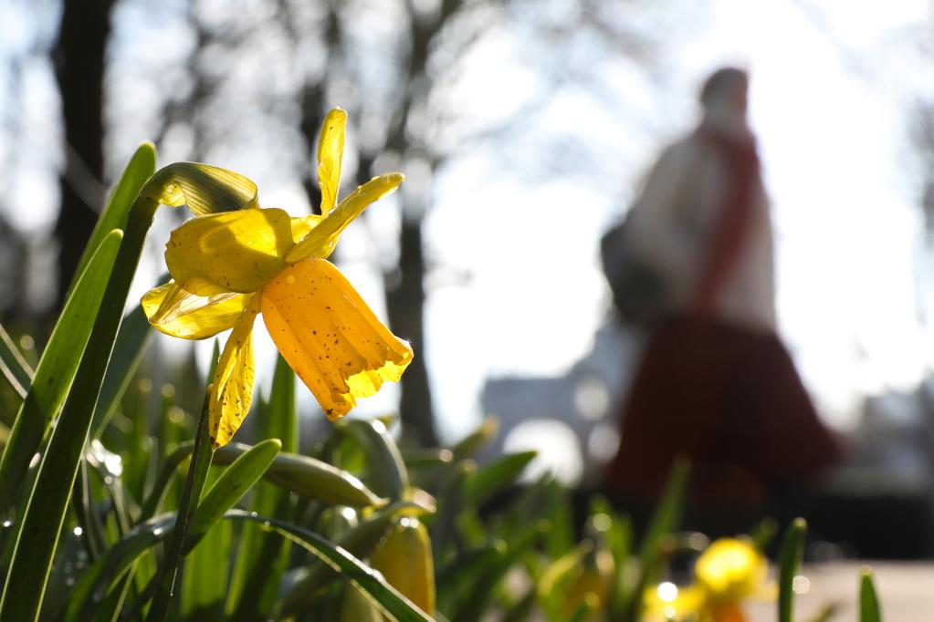 比利時(shí)：初春時(shí)節