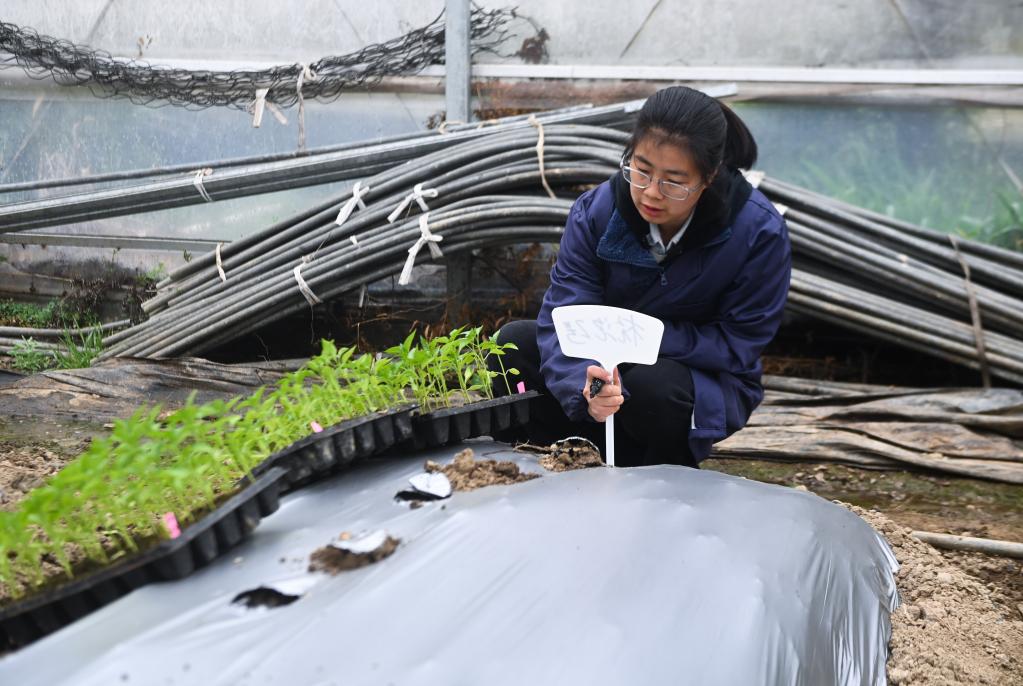 杭州臨安：“新農人”助推鄉村新產(chǎn)業(yè)新業(yè)態(tài)發(fā)展