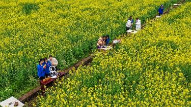 貴州岑鞏:教學(xué)進(jìn)田間 拓寬就業(yè)渠道