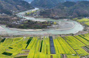 陜西寧強:嘉陵江第一灣千畝油菜花盛開(kāi)