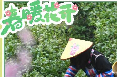 ［春耕備耕］春暖花開(kāi) 農事正忙