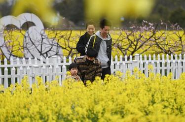 浙江湖州:鄉村美景 春色怡人