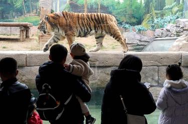 春日尋樂(lè )“動(dòng)物王國”