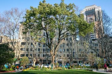 新華全媒+丨60秒！帶你“穿越”綠色上海