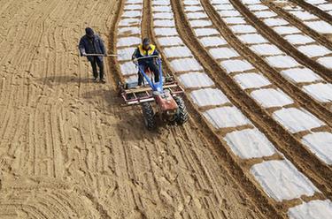 甘肅定西:山地覆膜春耕忙
