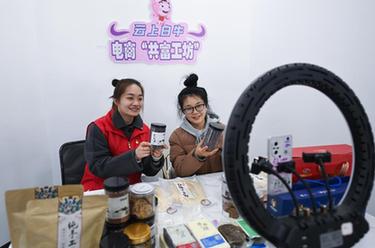 構建“黨員+農戶(hù)”網(wǎng)格 推進(jìn)農村基層治理